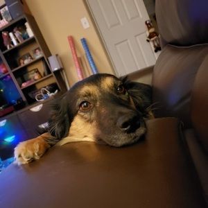 Meet your Posher, Hambag